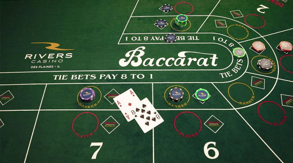 D2dbet888’s Approach to Crafting a Captivating Baccarat Environment